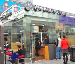 Coffee Bean Century City